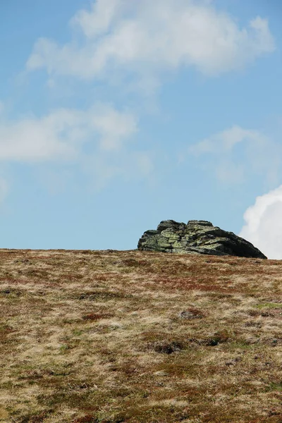 Pedra Verão Pasto Montanha — Fotografia de Stock