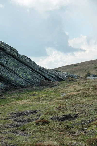 Yazın Bir Dağ Çayırında Kayalar — Stok fotoğraf