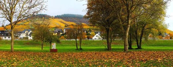 秋天空荡荡的Rv公园在Enkirch的Moselle全景 — 图库照片