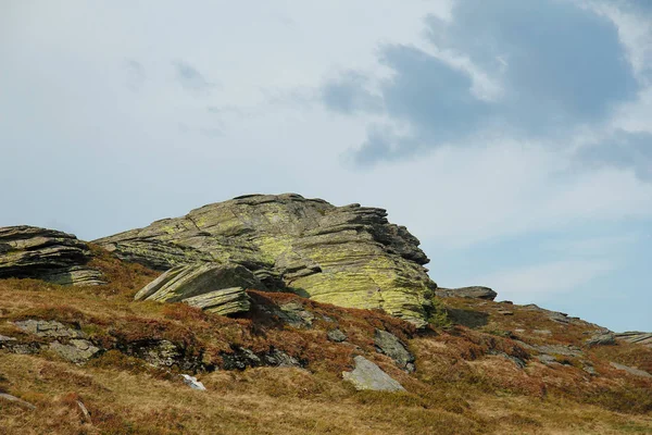 Yüksek Dağlık Çayırlarda Kayalar — Stok fotoğraf