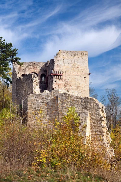 Vista Panorâmica Majestosa Arquitetura Medieval Castelo — Fotografia de Stock