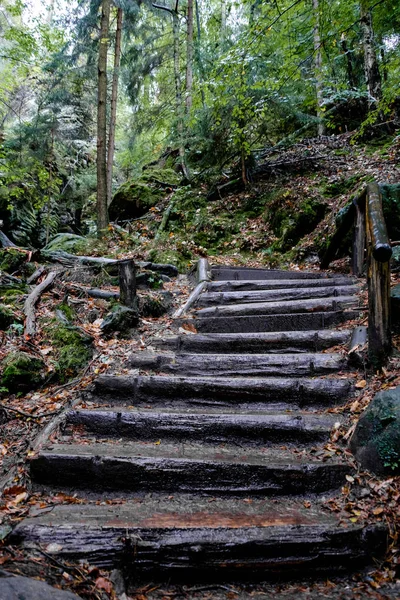 Nationalpark Saxon Switzerland Elband Steingebirge Bastei — Stockfoto