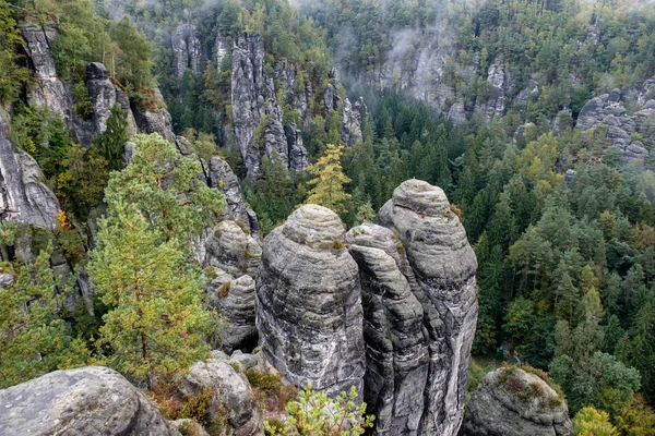 Parco Nazionale Saxon Svizzera Elbsandsteingebirge Bastei — Foto Stock