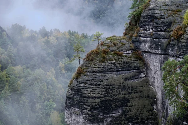 Nationaal Park Saksisch Zwitserland Elbsandsteingebirge Bastei — Stockfoto