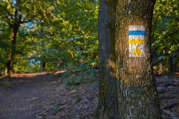 在森林里远足径标志 — 图库照片
