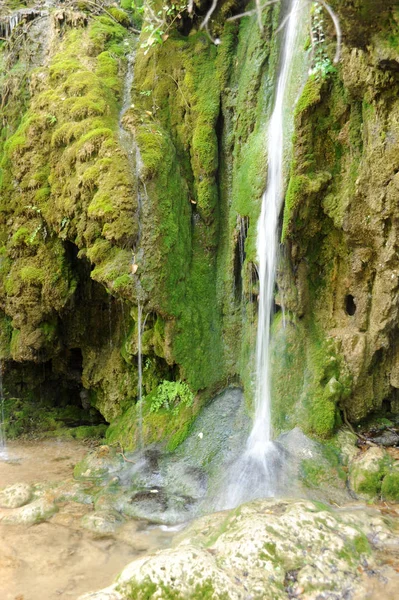 Cachoeiras Naturschtzpark — Fotografia de Stock