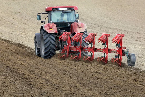 Natuurlijke Achtergrond Selectieve Focus — Stockfoto