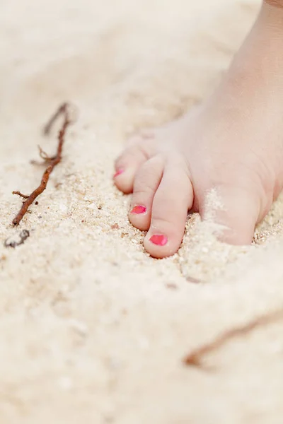 Mão Criança Com Conchas — Fotografia de Stock