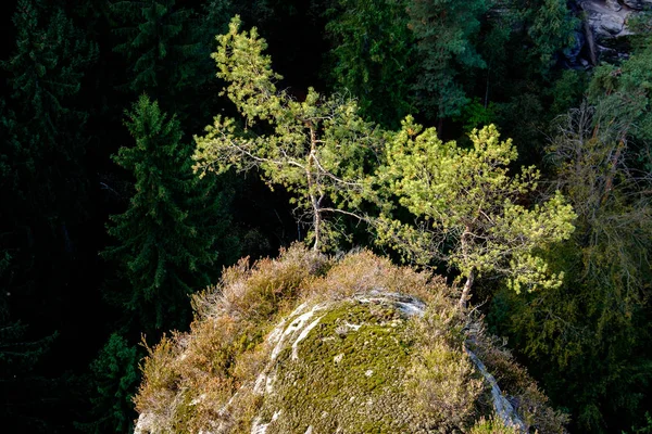 Parc National Saxon Switzerland Elbsandsteingebirge Bastei — Photo