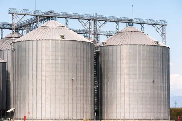 Silo Agrícola Edificio Exterior Almacenamiento Secado Granos Trigo Maíz Soja — Foto de Stock