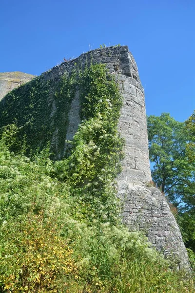 青い空に対してツタがたくさんある古い城の壁の廃墟 — ストック写真