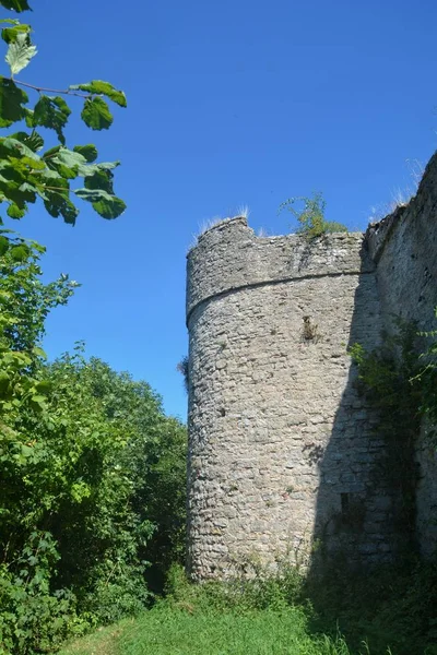 Vieux Château Mur Ruine Contre Ciel Bleu Avec Des Arbres — Photo