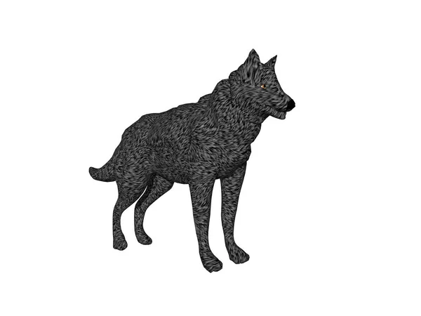 Black White Vector Illustration Wolf — Stock Photo, Image