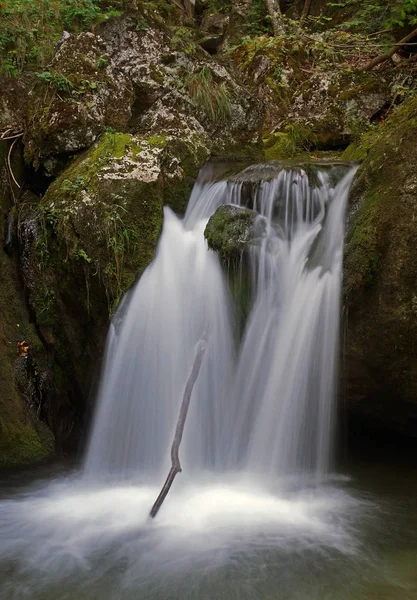 Cachoeira Floresta — Fotografia de Stock