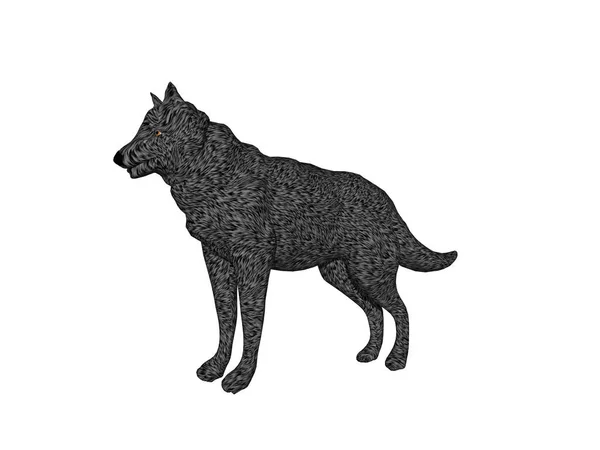 Zwart Wit Vector Illustratie Van Een Wolf — Stockfoto