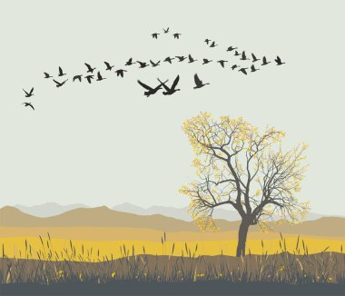 Vector illustration of migration pattern of flock wild geese clipart