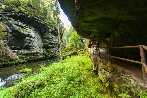 Kamnitz Gorge Paisaje También Edmundsklamm Rutas Senderismo Suiza Bohemia Hrensko —  Fotos de Stock