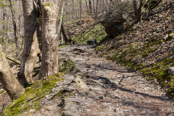 Bodetal Stieg Treseburg Thale — Stok fotoğraf