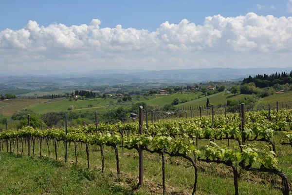 Paisagem Vista Italia — Fotografia de Stock