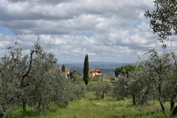 Paisagem Vista Italia — Fotografia de Stock