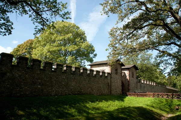 Reconstruído Castelo Romano Saalburg Taunus Alemão — Fotografia de Stock