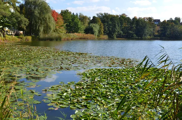 Burgsee Mau Salzungen — Fotografia de Stock