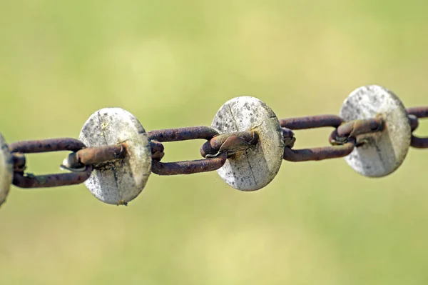 Catena Arrugginita Sulla Recinzione — Foto Stock