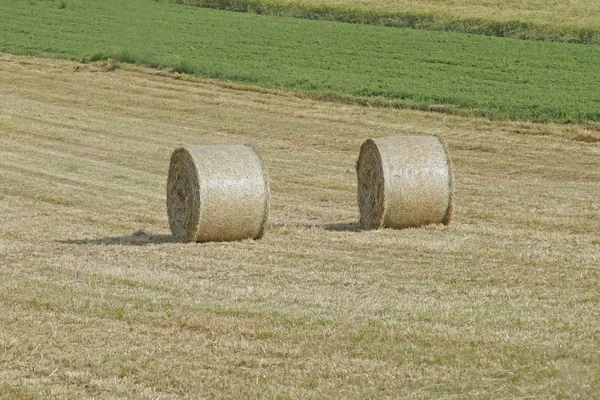 Agricultural Countryside Bales Field — Stock Photo, Image