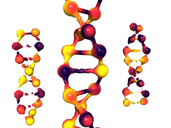 Γενετική Γονίδιο Χρωμόσωμα Και Κύτταρα Dna — Φωτογραφία Αρχείου