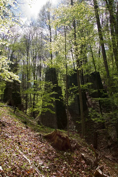 Vieux Piliers Délabrés Dans Une Forêt Une Ligne Chemin Fer — Photo