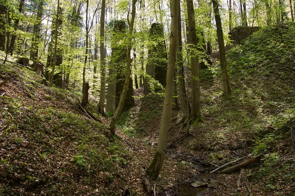 Viejos Muelles Ruinas Bosque Una Línea Ferroviaria Desuso Estiria —  Fotos de Stock