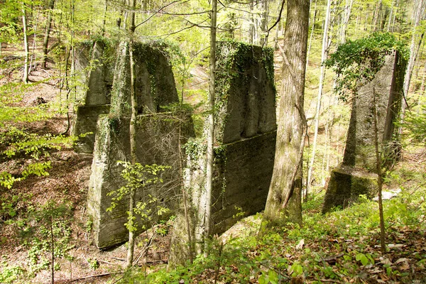 Ormanda Harap Olmuş Eski Iskeleler Styria Kullanılmayan Bir Demiryolu Hattı — Stok fotoğraf