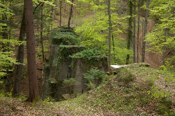 Old Dilapidated Piers Forest Disused Railway Line Styria — Stock Photo, Image