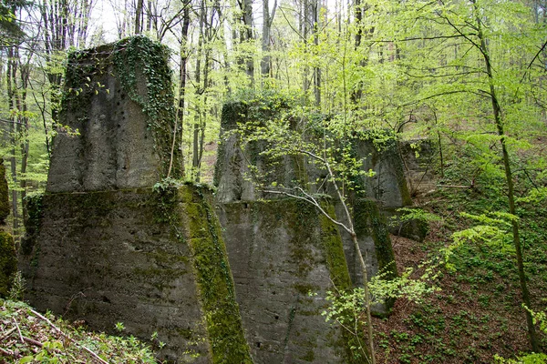 Stare Zniszczone Molo Lesie Nieużywana Linia Kolejowa Styrii — Zdjęcie stockowe