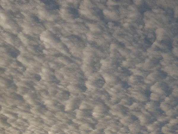 Утреннее Небо Альтокумуловыми Облаками — стоковое фото