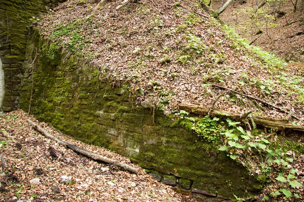 Vieux Mur Tunnel Délabré Une Ligne Chemin Fer Désaffectée Dans — Photo