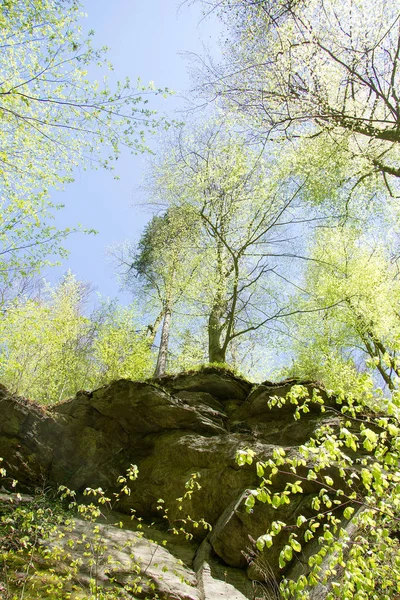 Steiermark Berg Och Skogsbruksstat Södra Österrike — Stockfoto