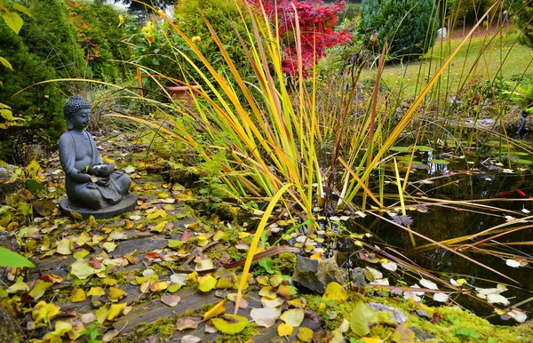 Otoño Colorido Jardín Estanque Con Buddha — Foto de Stock