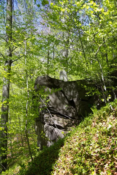 Rocas Bosque Estiria — Foto de Stock