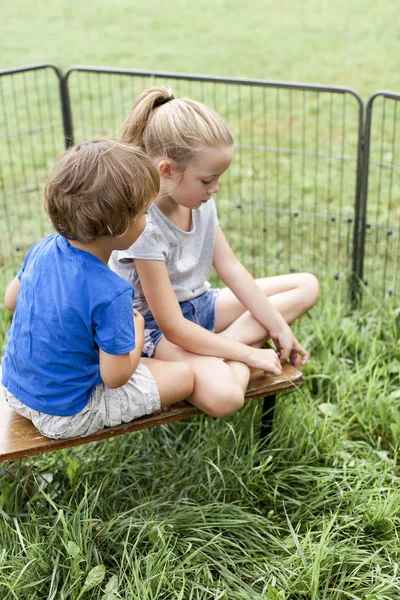 Barn Leker Med Kaniner — Stockfoto