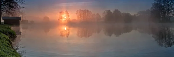 Aussichtsreiche Aussicht Auf Schöne Vögel Der Natur — Stockfoto