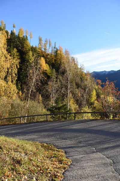 Oberleibnig Sankt Johann Walde Autumn Isel Road Mountain Trees Forest — 图库照片