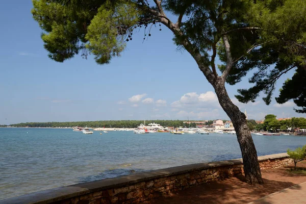 Fazana Istria Horvátország Tengeri Hely Kikötő Csónak Csónak Kikötő Építészet — Stock Fotó