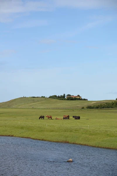 Prachtig Natuurlandschap Achtergrond — Stockfoto