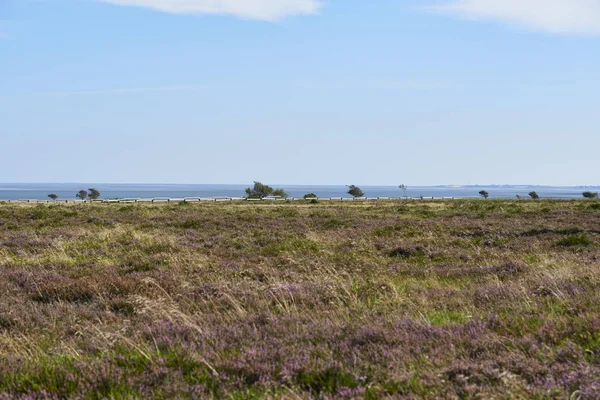 Sylt Uma Ilha Alemã Arquipélago Frísio Mar Norte — Fotografia de Stock