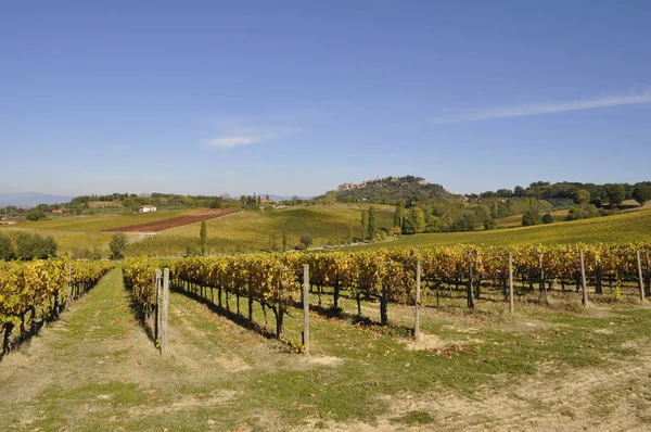 Bodega Tuskan Italy —  Fotos de Stock