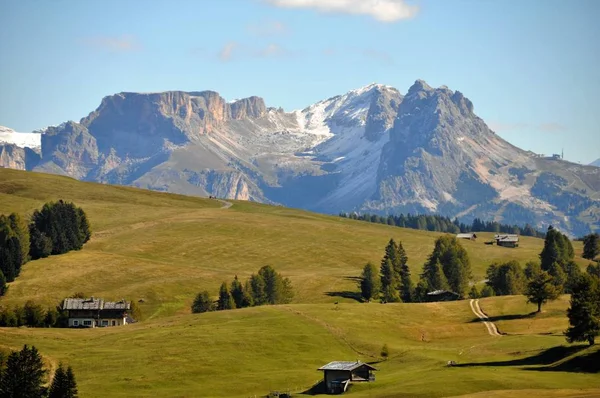 Vacaciones Alpe Siusi —  Fotos de Stock
