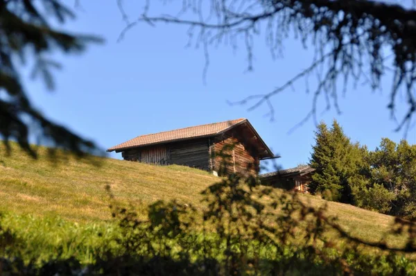 Vacances Alpe Siusi — Photo