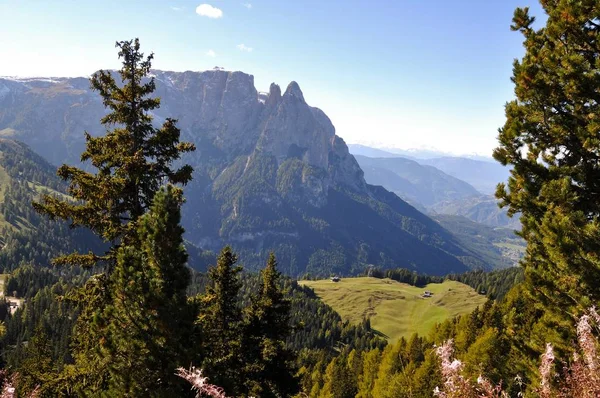 Holidays Alpe Siusi — Stock Photo, Image