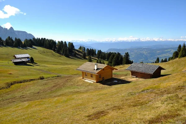 Alpe Siusi Tatil — Stok fotoğraf
